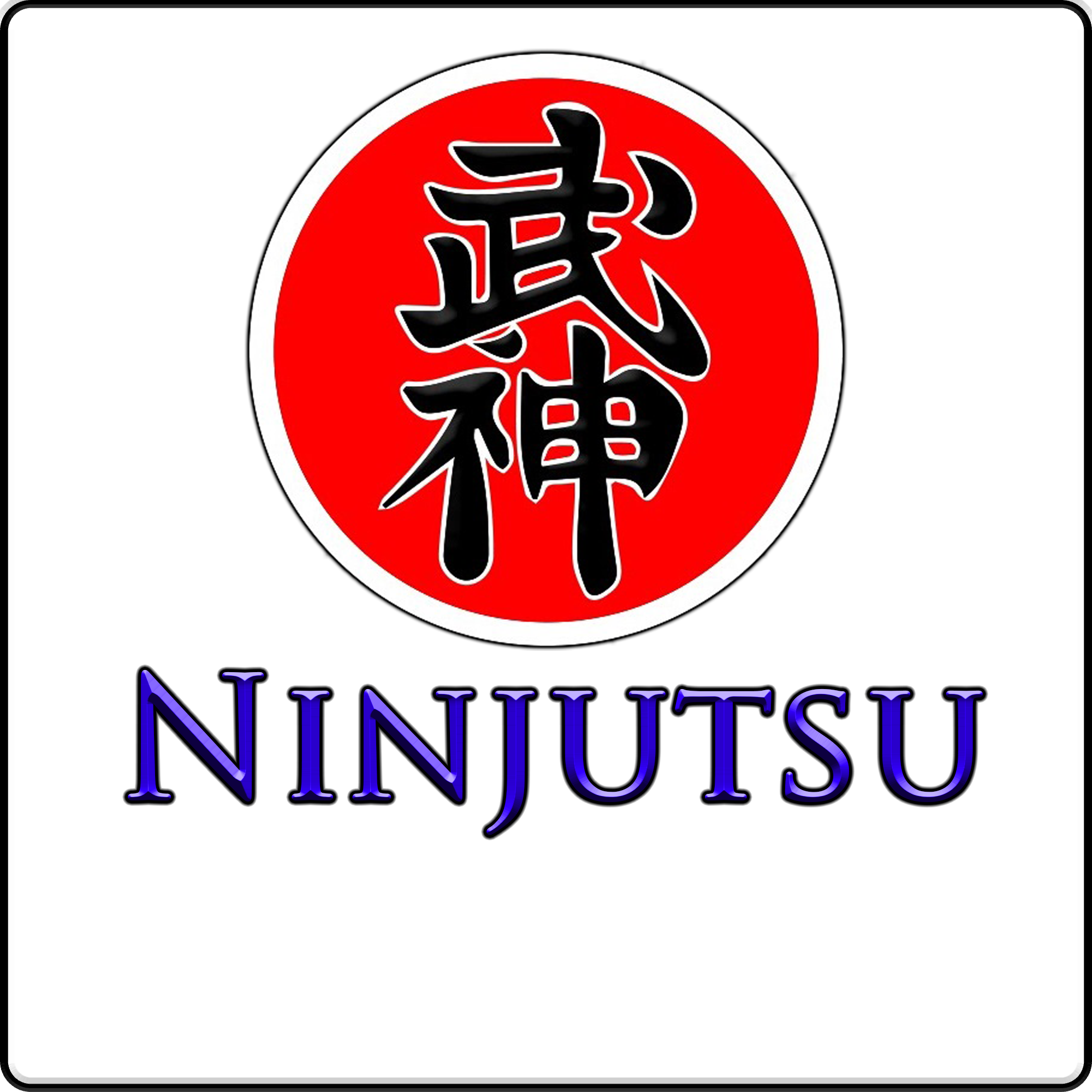 Welcome to the International Seibukan Jujutsu Association